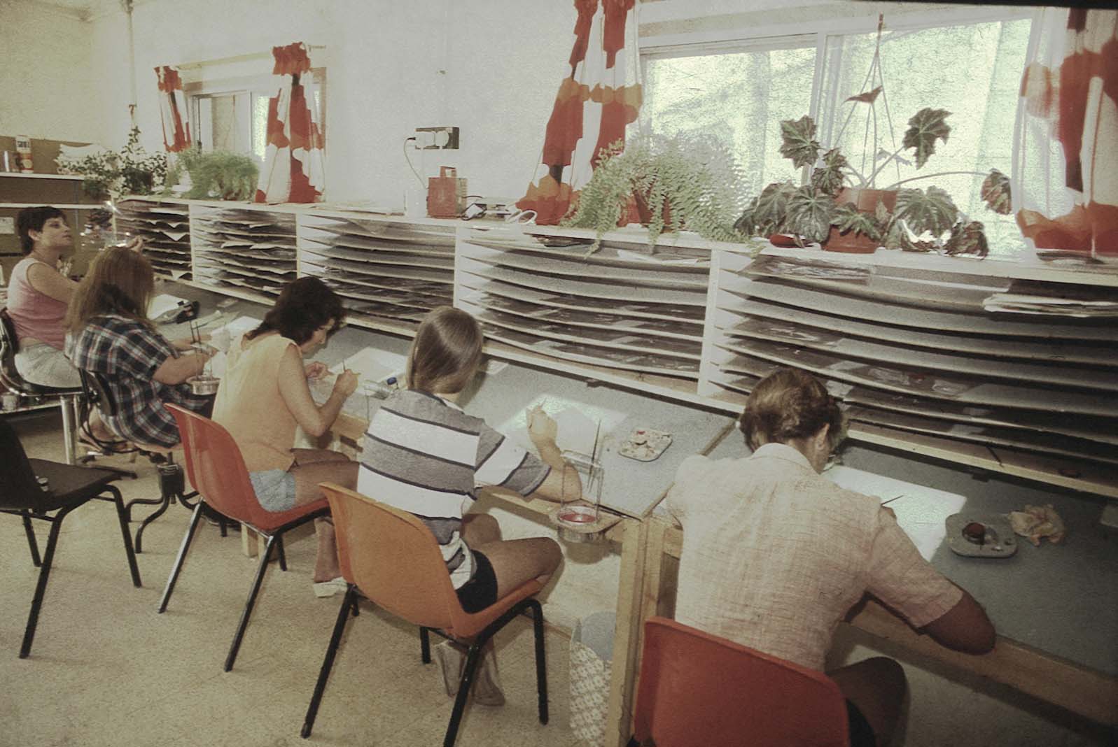"סרטי עין גדי"  / קיבוץ עין גדי  1976-1987